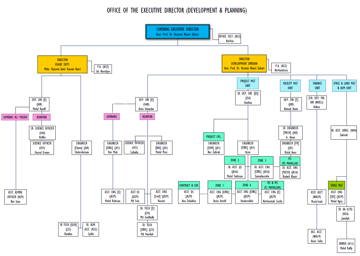 Organisational Chart – Development Division