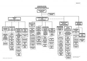 Organizational Chart – MANAGEMENT SERVICES DIVISION